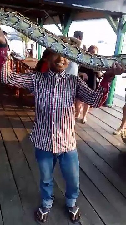 you see giant snake in Tonlésap Lake