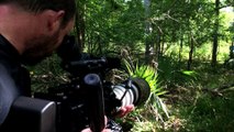 Filming Beautiful Butterfly Footage (Sex, Lies and Butterflies) - PBS Nature