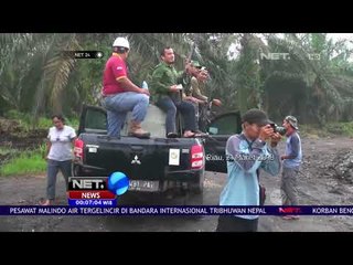 Harimau Bonita Akhirnya Ditangkap - NET 24