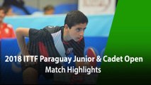 2018 Paraguay Junior & Cadet Open Highlights: Carlos Fernandez vs Alfredo Sanchez (CBS-Final)