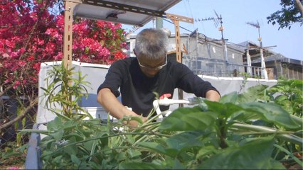 Hong Kong invests in renewable energy project