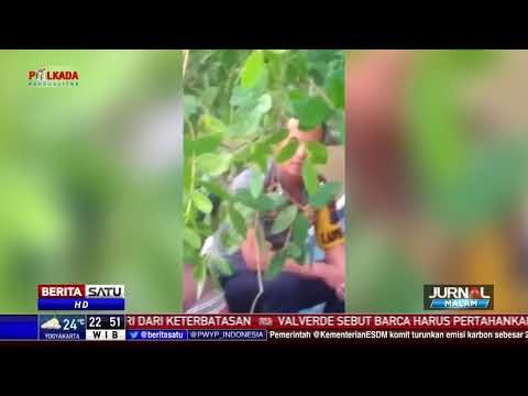 Wakapolres Labuhanbatu Dikabarkan Hilang dalam Musibah Kapal Tenggelam