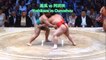 Sumo Digest[Nagoya Basho 2017 Day 14, July 22th]20170722名古屋場所14日目大相撲ダイジェスト
