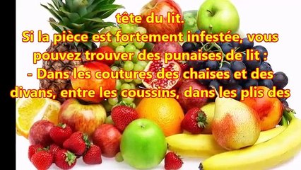 8 mesures à prendre le plus rapidement possible pour éliminer les Punaises du lit