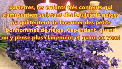 Astuce simple et facile pour dégivrer les pare brise sans difficulté