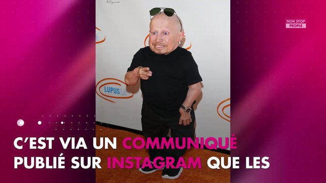 Verne Troyer : L’interprète de Mini-Moi dans Austin Powers est décédé