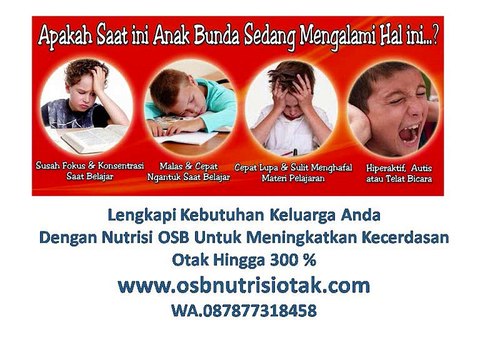 OSB NUTRISI OTAK GRATIS ONGKIR|WA.087877318458