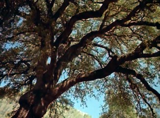 PresenceOfMind 1999  DVDRIP  CG    Part 01