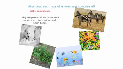 Introduction to Environmental Studies