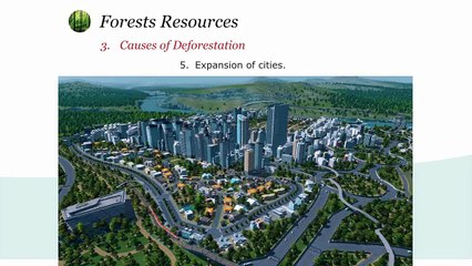 Deforestation - Environmental Studies