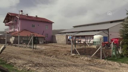 Şehir Hayatını Bırakıp Köyünde Hayvancılık Yapıyor