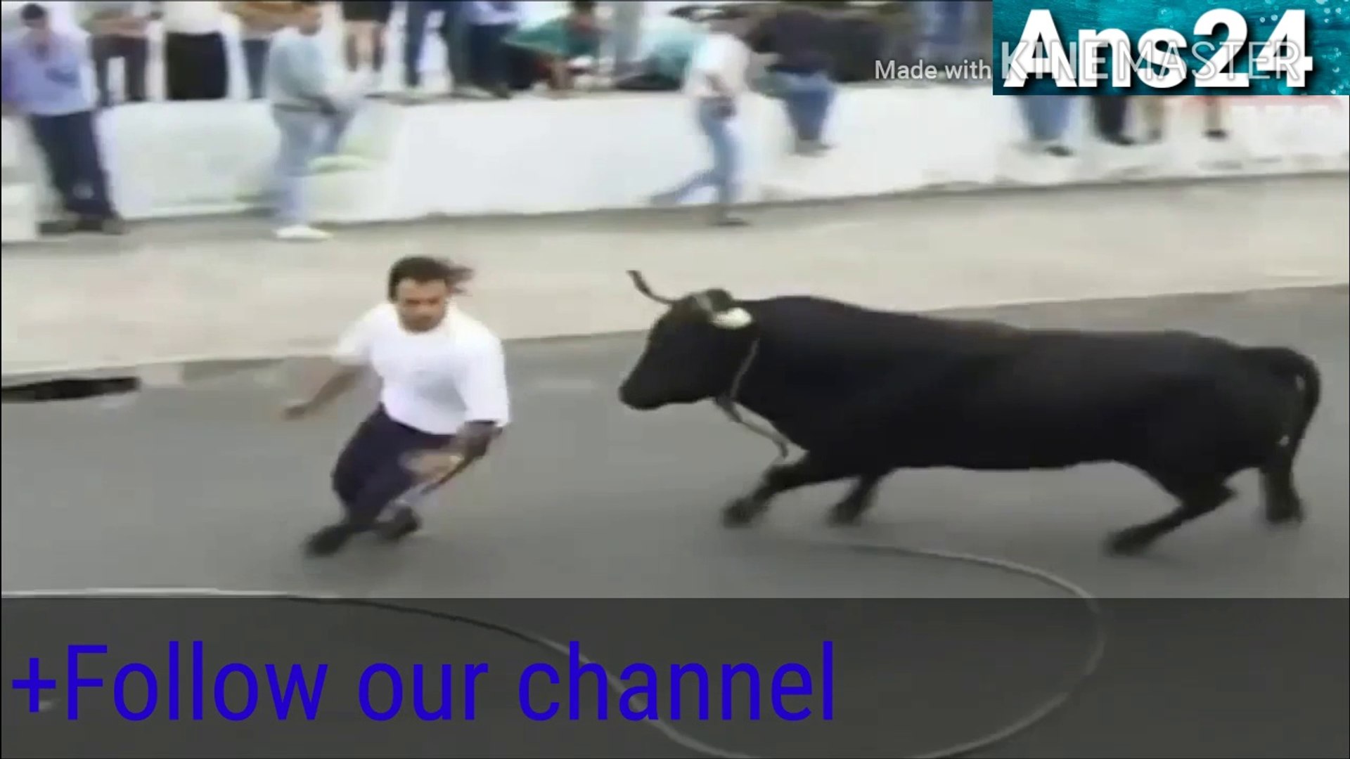 Funny video- bull attack to peoples - video Dailymotion