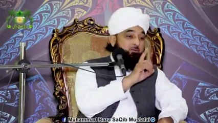 Muhammad Raza Saqib Mustafai (324)