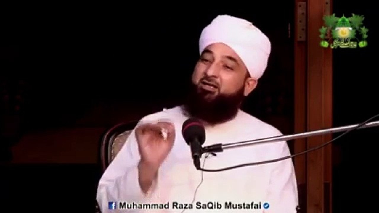 Muhammad Raza Saqib Mustafai (327)