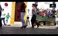 Bullfighting Festival  4 Best Funny Videos