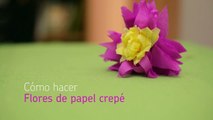 Cómo hacer flores de papel crepé | @iMujerHogar