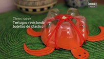 Tortugas reciclando botellas de plástico
