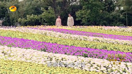 青丘狐传说 12_高清