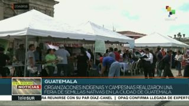 Pueblos originarios de Guatemala realizan feria de semillas nativas