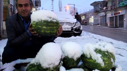 Kar ve sis hayatı olumsuz etkiledi - VAN