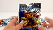 Mejores Videos Para Niños Aprendiendo Colores - Paw Patrol Jungle Truck and Cars Learn Colors