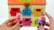 Mejores Videos Para Niños Aprendiendo Colores - Paw Patrol Baby Skye Bath Learn Colors