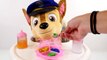 Mejores Videos Para Niños Aprendiendo Colores - Paw Patrol Mashems Wrong Hats Learning Colors
