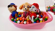 Mejores Videos Para Niños Aprendiendo Colores - Paw Patrol Babies and Gumballs Learning Colors