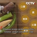 Delices vegetales fritos丨CCTV Español