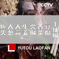 Yutou Laofan, un plato bien recibido en cena de Año Nuevo chino  | CCTV Español