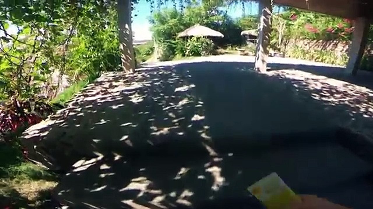 Auf diesem Berg wollen wir leben! - Tampah Hills Lombok | Niofa