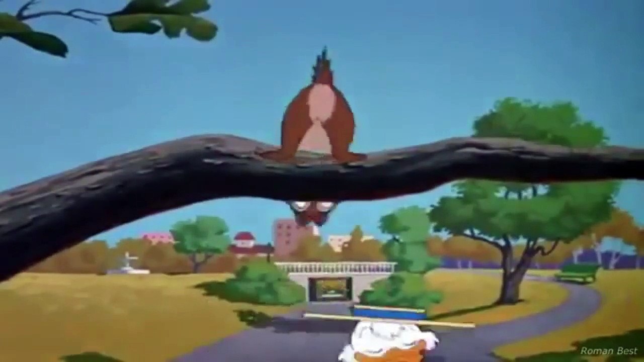 Chip and Dale,Donald Duck Crazy Over Daisy