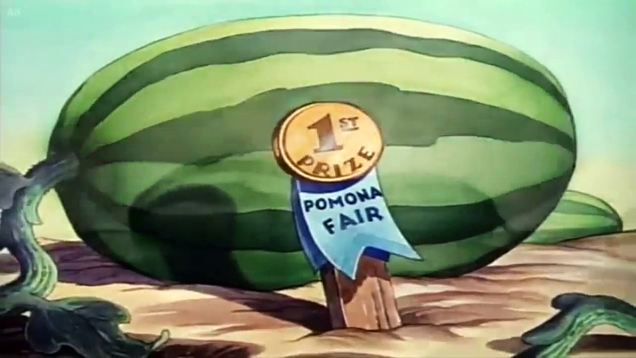 Donald Duck Donald's Garden