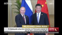 Xi Jinping pide esfuerzos conjuntos con Rusia para avanzar en área de libre comercio Asia-Pacífic