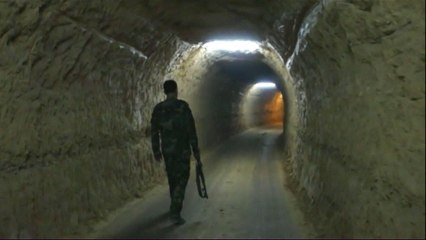 Syria: Qalamoun fighters arrive in Aleppo after evacuation deal