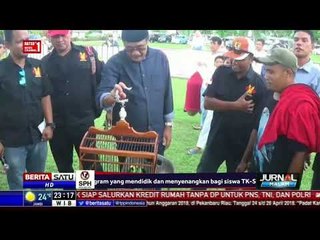 Djarot Akan Jadikan Festival Burung Berkicau Wisata Lokal