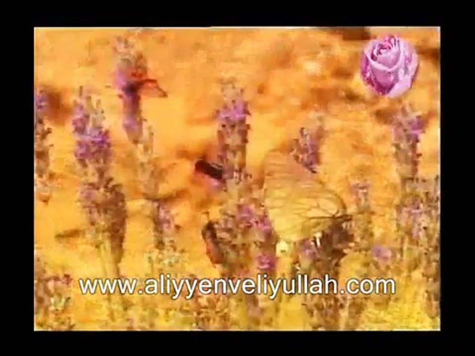 İmam Zeynalabidin (as) Yezite (la) Haykırıyor