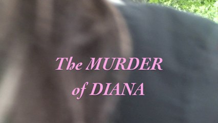 Speakers' Corner: THE MURDER OF DIANA