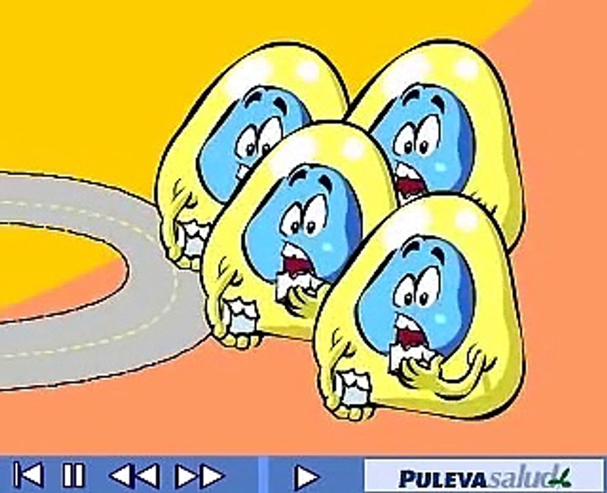 ¡Destacado! Isabel Rangel Barón te presenta a la diabetes