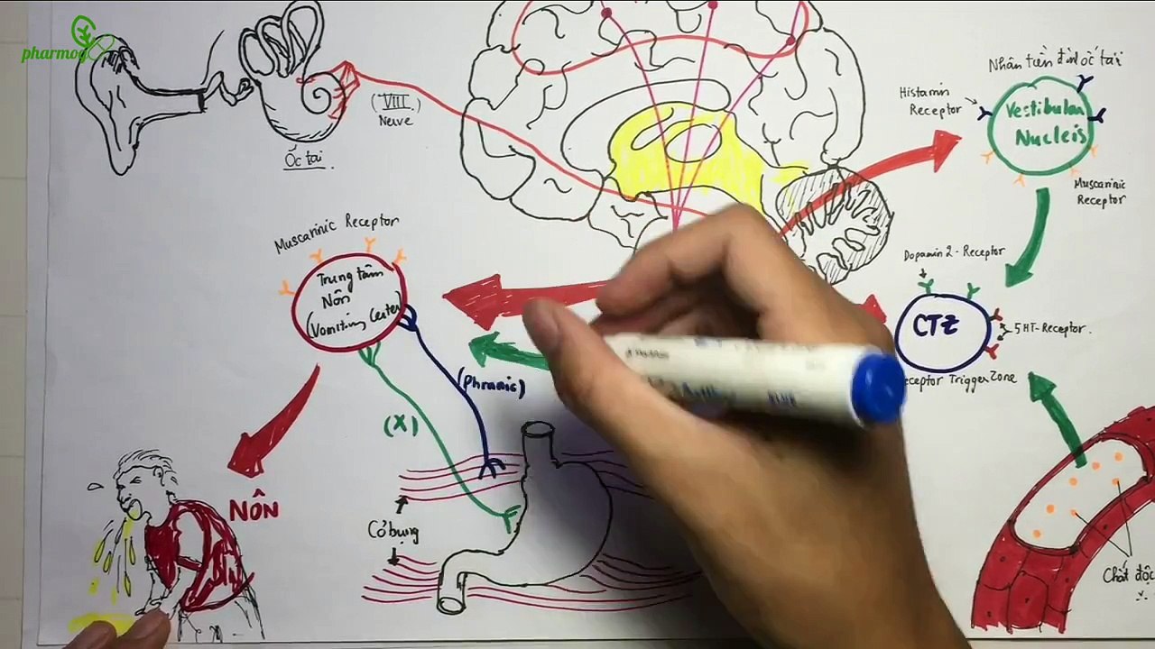 Duoc ly cac thuoc chong non - Pharmacology of antiemetics