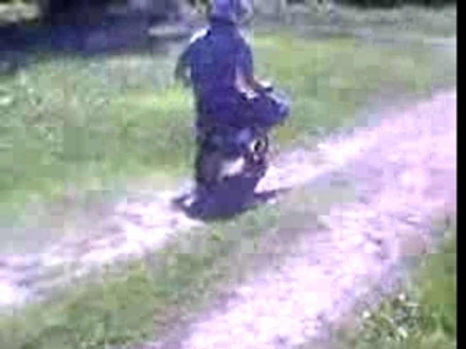 Motocross 955 Cross biker