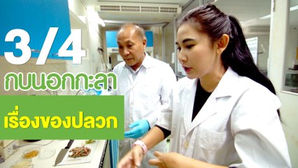 กบนอกกะลา : เรื่องของ ปลวก ช่วงที่ 3/4 (19 เม.ย.61)