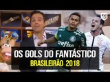 OS GOLS DO FANTÁSTICO (22/04/2018) BRASILEIRÃO 2018