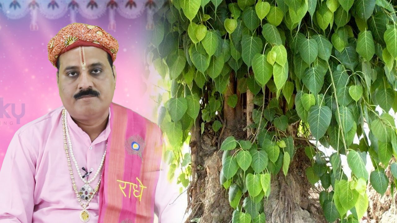 पीपल के पेड़ पर जल चढ़ाना क्यों है ज़रूरी, जानें | Offering water to Peepal - Benefits | Boldsky