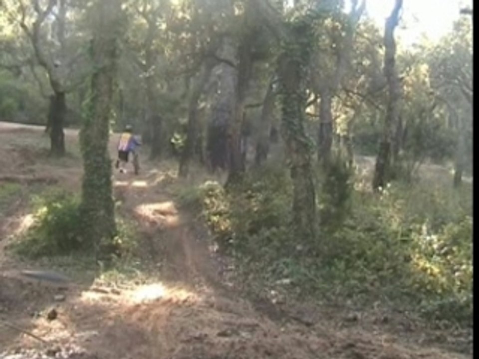 Freeride 2