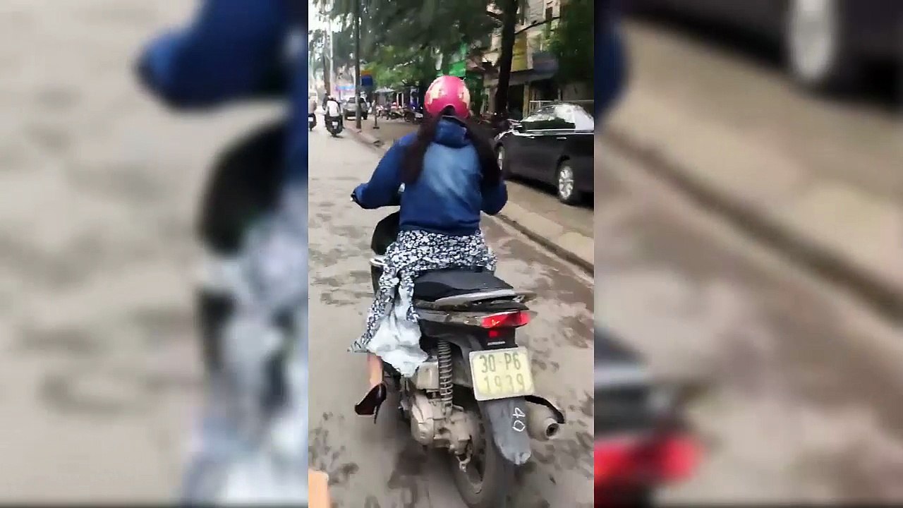 ninja bay