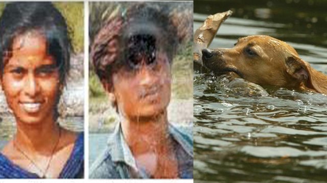 ஈரோட்டில் அக்கா-தம்பி காவிரி ஆற்றில் மூழ்கி உயிரிழப்பு- வீடியோ