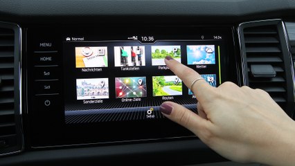 Skoda bietet Online Dienste für fast alle Skoda Modelle serienmäßig