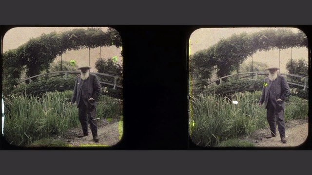 « L'histoire des Nymphéas » racontée par le Musée de l’Orangerie