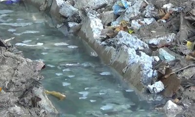 Petugas Selidiki Pencemaran Limbah di Sungai Tukad Penataran